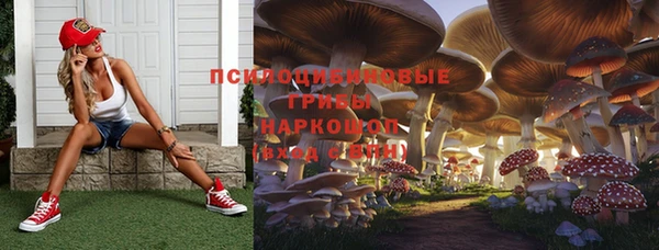 mdpv Алексин
