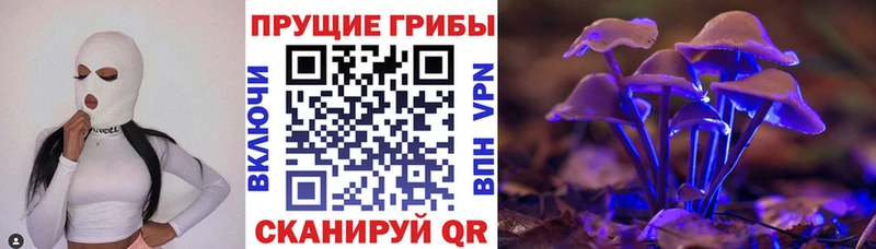 закладка  OMG зеркало  Псилоцибиновые грибы GOLDEN TEACHER  Чаплыгин 